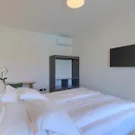 Luxury Villa Povetica With Pool In Vizinada
