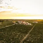 Wine Residence Cattunar