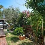 Gemuetliche Wohnung In Novigrad Mit Grill