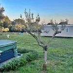 Casa Vala Romana With Jacuzzi And Big Garden