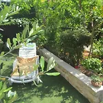 Apartment Artusi