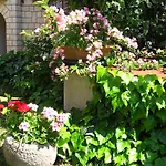 Guest House Caterina