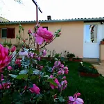 Apartment Matej