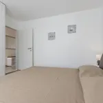 Velike Stine City Suite