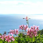 Guest House Lifestyle Holiday