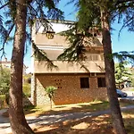 Apartment Branko 1601