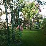 Apartment Mirjana