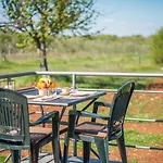 Apartment With Terrace In Filipana