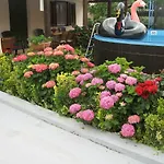 Apartments Adelita