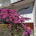 Apartments Francika