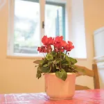 Apartman Juricic