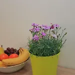 Apartment Centar