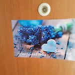 Apartment Noa