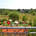 Apartments Marko