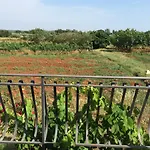 Apartments Bodi