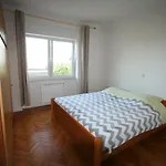 Apartment Elena