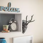 Apartment Dina