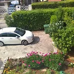 Mimoza