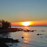 Allegria