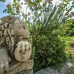 Apartman Ana