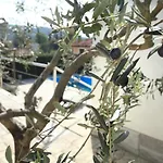 Spacious Villa In Parecag With A Swimming Pool