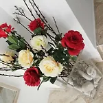 Studio Rose