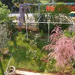 Villa Salvia Rooms And Apartments