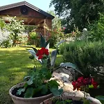 Apartment Cajt