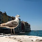 Maximus