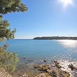 Studio Valkane