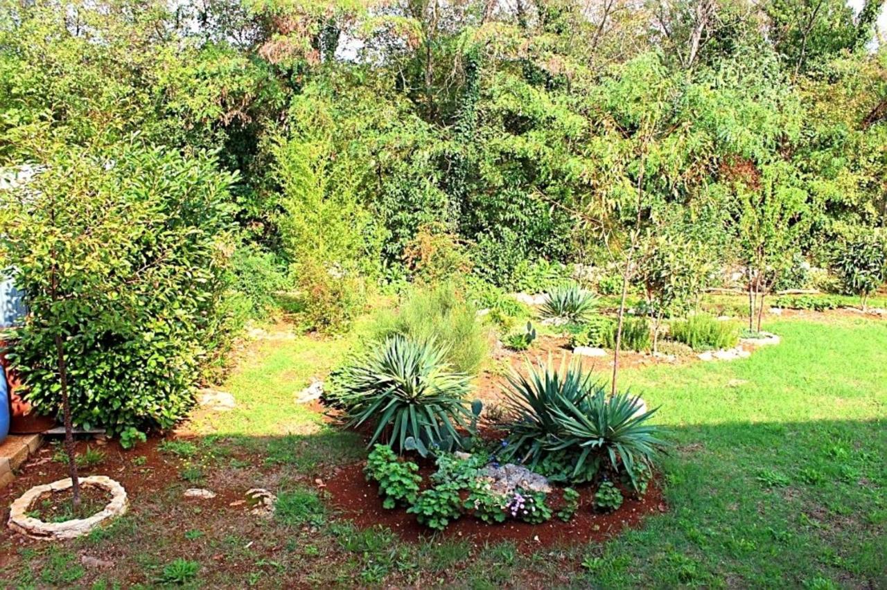 Jelena Apartment Porec