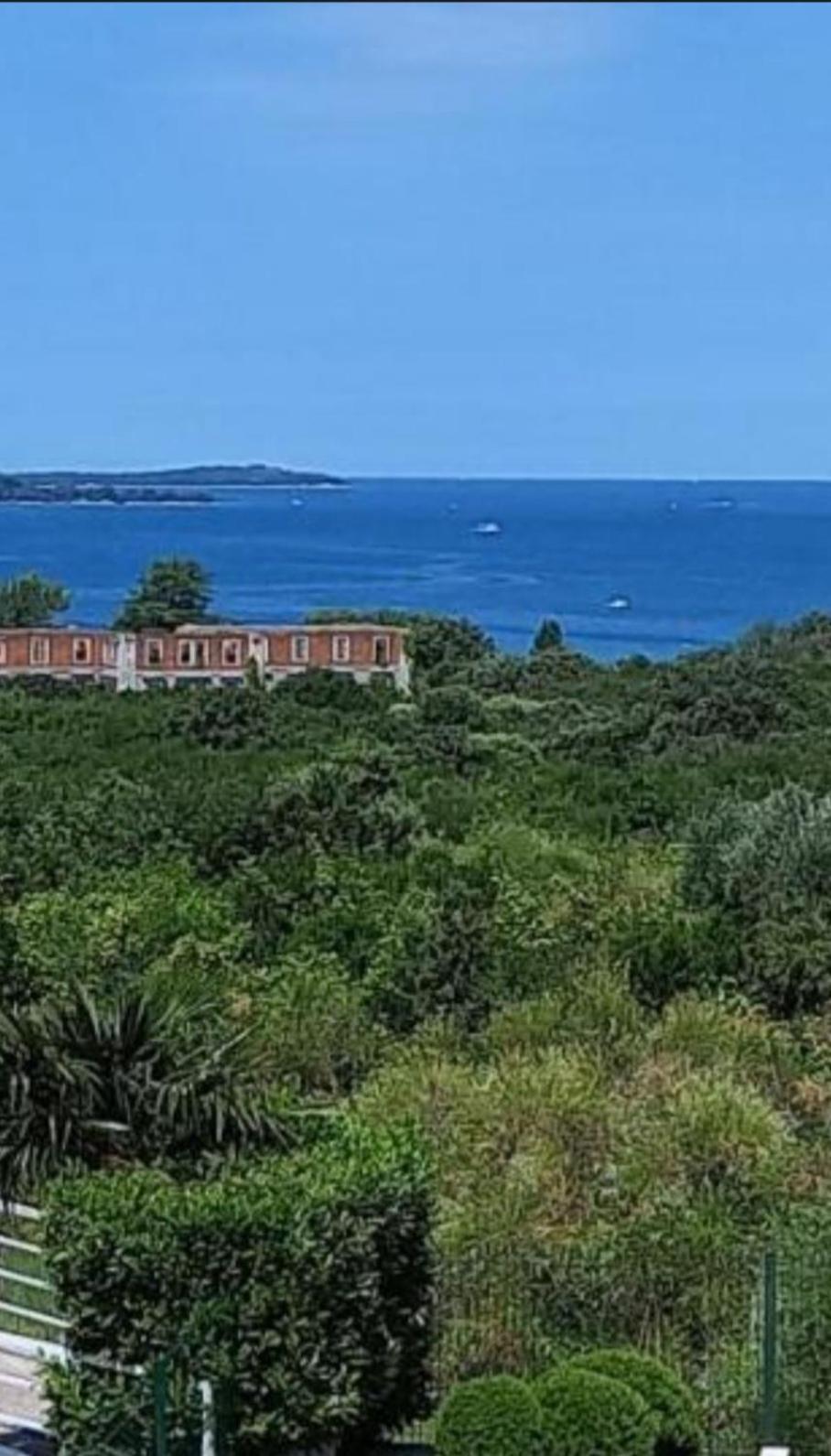 Apartman Rubin