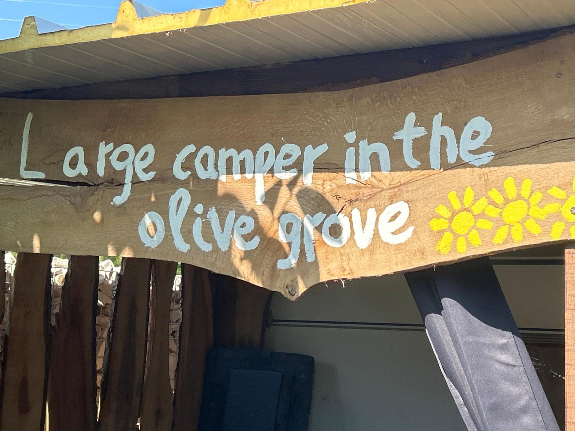 Large Camper In The Olive Grove