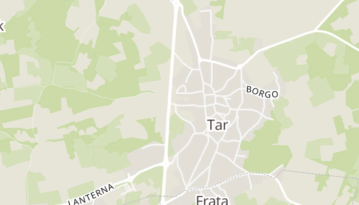 Térkép