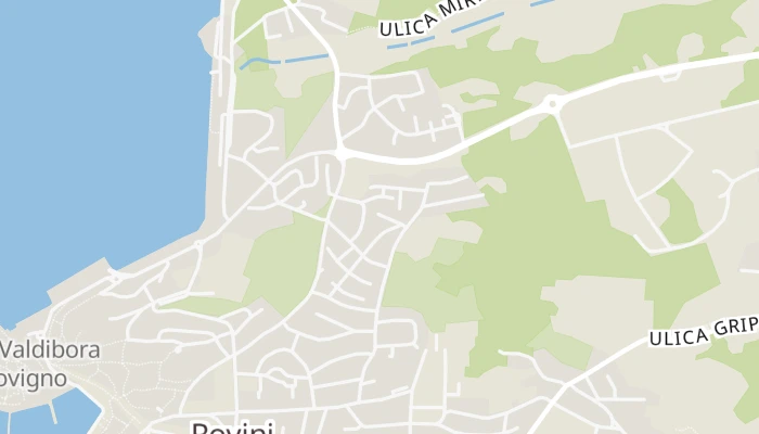 Térkép