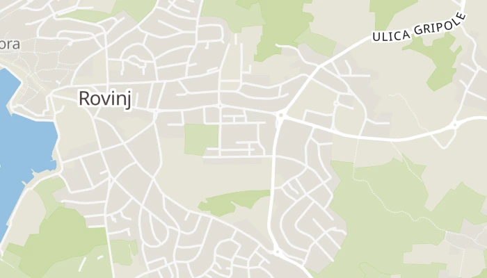 Χάρτης