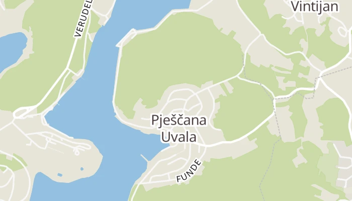 Térkép